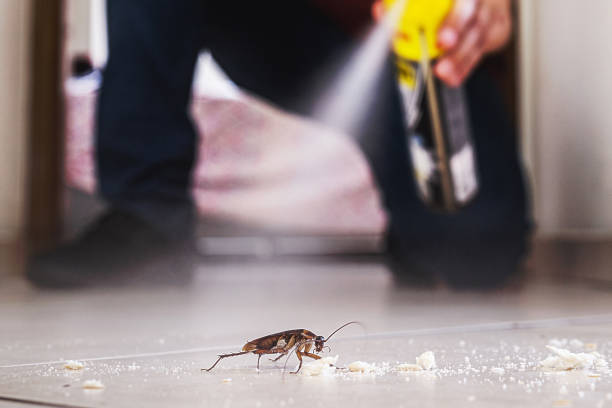 Best Best Pest Control Companies  in Bloomingburg, OH